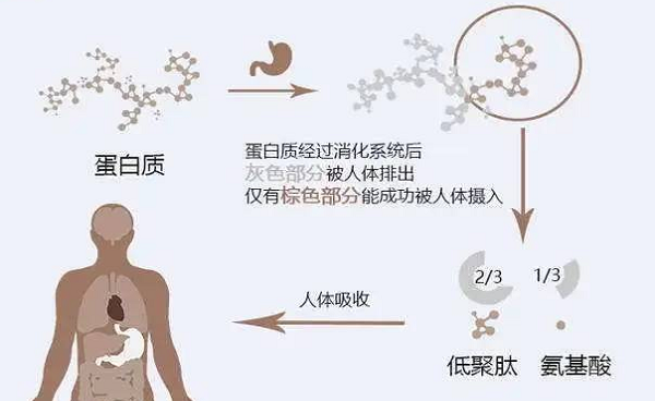 選擇離心濃縮儀時應(yīng)該注意哪些事項呢？